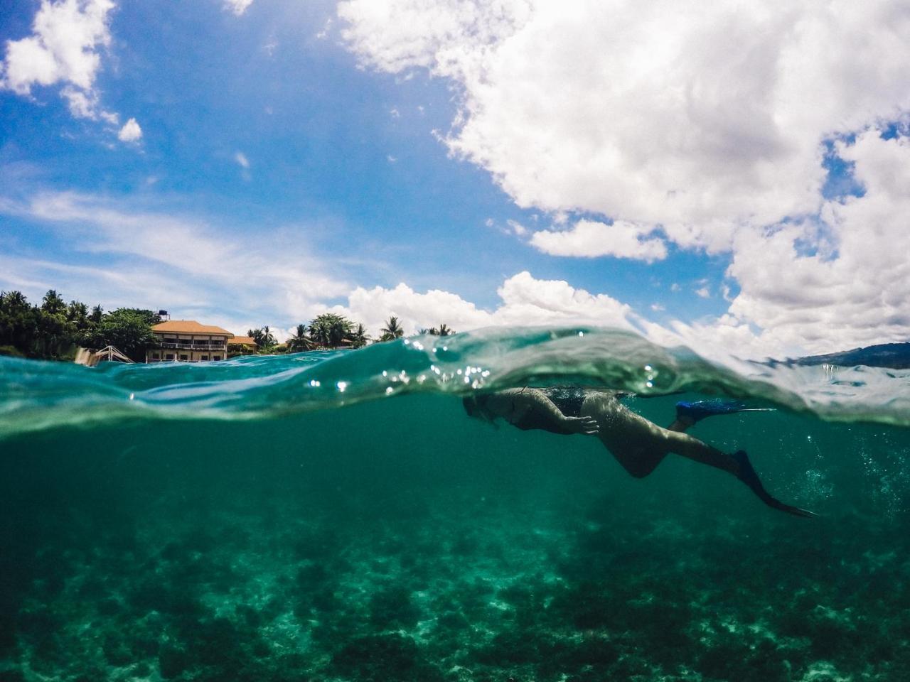 Turtle Bay Dive Resort Moalboal Eksteriør bilde